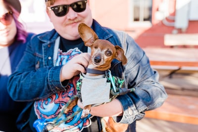 Woman in a blue denim jacket with a short coat brown dog
